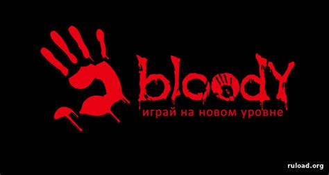 Скачайте и установите программу Bloody 6