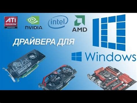 Скачивание и установка последних драйверов AMD