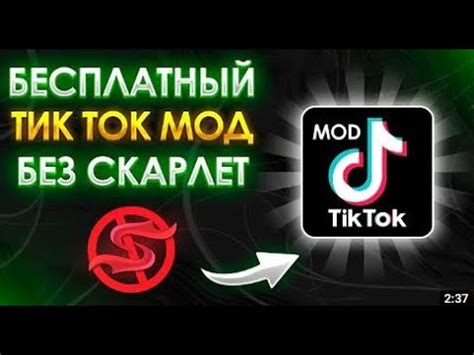 Скачивание нового Тик Ток со Скарлетт