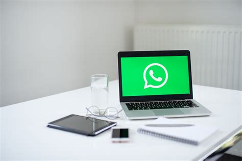 Скачивание предыдущей версии WhatsApp