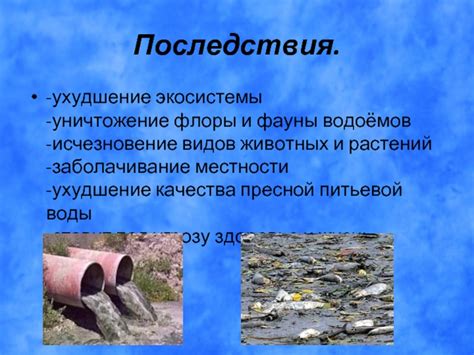 Слабая самоочистка: ухудшение качества водоёмов