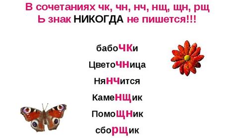 Словарь как определитель правильности написания "нянчить" и "няньчить"