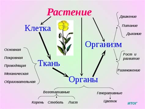 Сложность размножения на суше