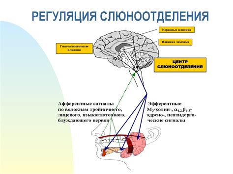 Слюнотечение