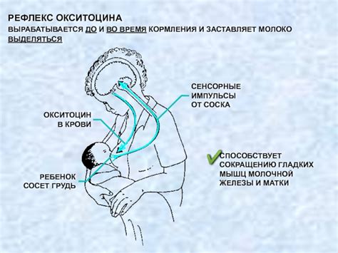 Смена позы при кормлении