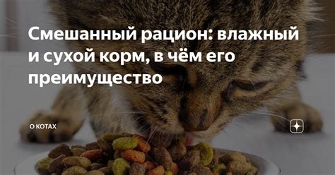 Смешанный рацион