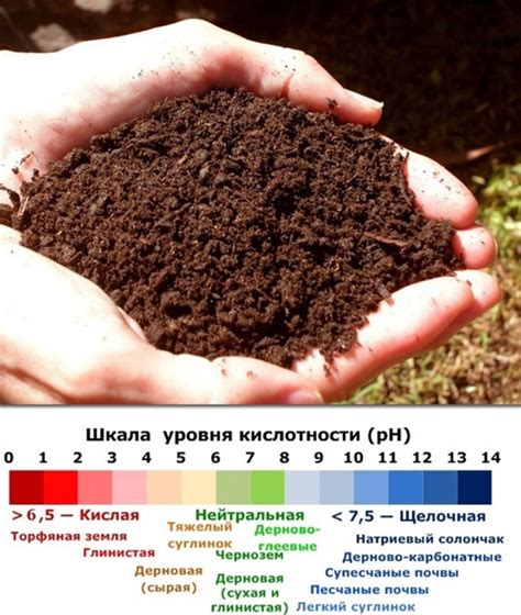 Снижение кислотности почвы