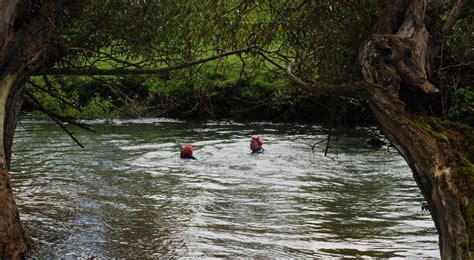 Сны о покойнике в грязной воде: значение и толкование