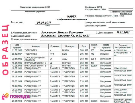 Соберите информацию о прививках и вакцинации кролика