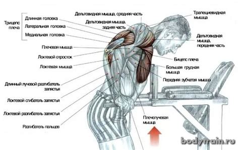 Соблюдайте правильное дыхание при выполнении отжиманий на брусьях