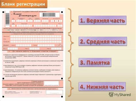 Советы и инструкции для успешной настройки Чарли