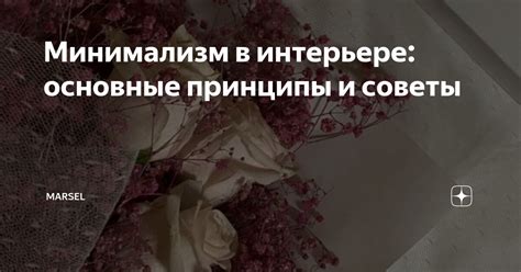 Советы и принципы