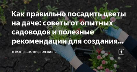 Советы и рекомендации: полезные хитрости для восстановления радио на Андроид