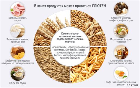 Советы и рекомендации по совершенствованию закваски