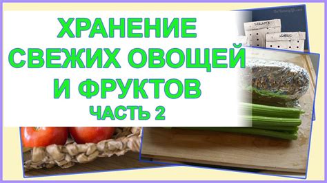 Советы и рекомендации по хранению свежих мидий