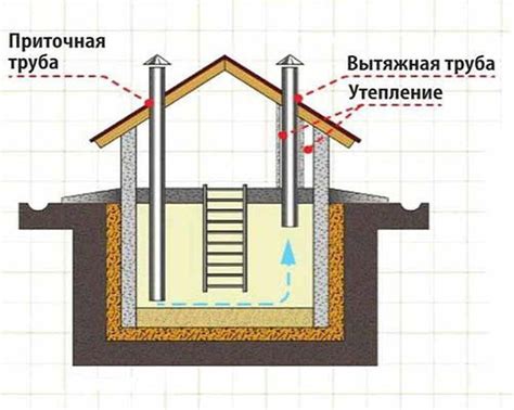 Советы по благоустройству погреба