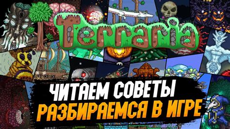 Советы по восстановлению сохранений Террарии Steam