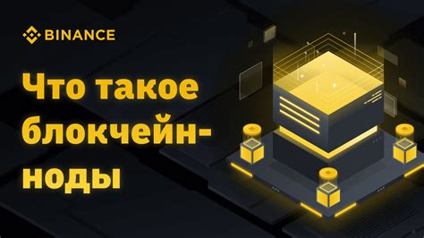 Советы по восстановлению утерянных криптовалютных нод