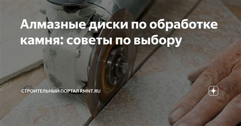 Советы по выбору и обработке грибов, чтобы избежать червей