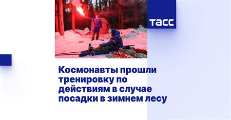 Советы по действиям в случае частых звонков о неоплаченном долге