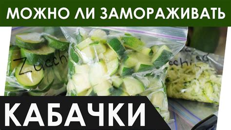 Советы по заморозке и разморозке