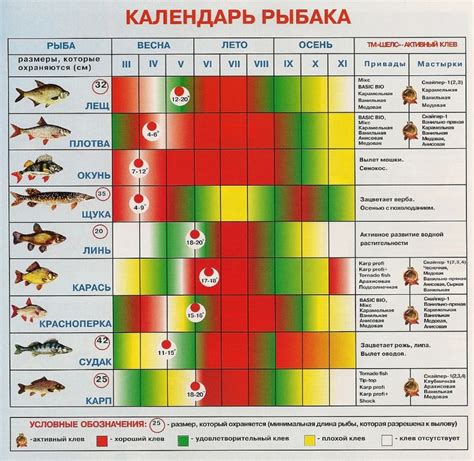 Советы по ощупыванию рыбы