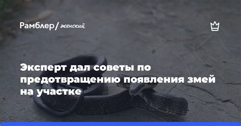 Советы по предотвращению появления чупакабры