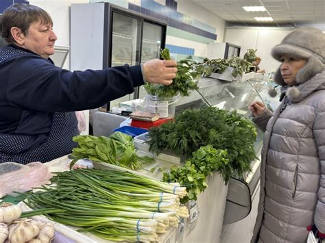 Советы по сохранению свежей зелени дома