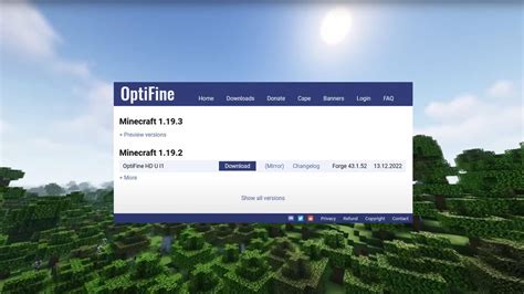 Советы по удалению Худа в Minecraft: оптимальные настройки