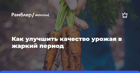 Советы по улучшению качества жизни в климактерический период