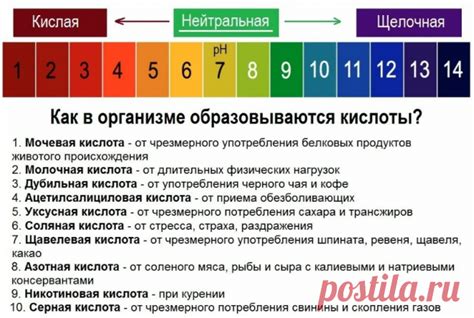 Советы по установлению здорового щелочного баланса организма