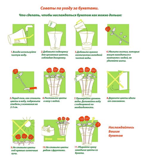 Советы по уходу за цветами в коробке