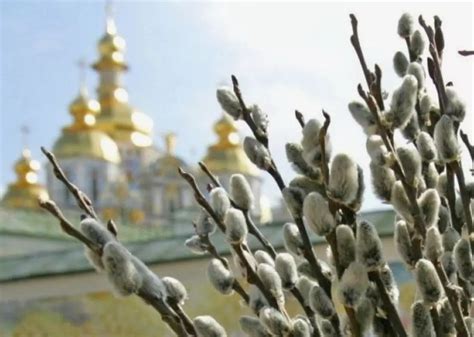 Советы по хранению и перезапеканию вареников