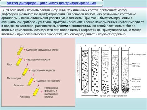 Современные методы изучения нормы реакции