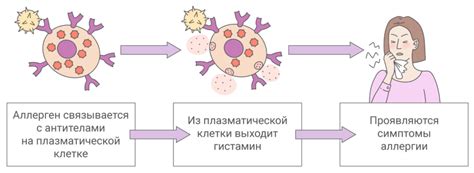 Современные методы лечения аллергии и их эффективность