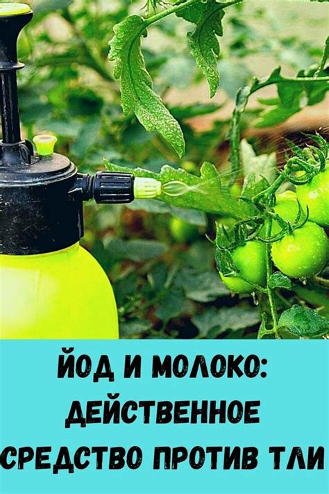 Сода и уксус – действенное средство против черного налета