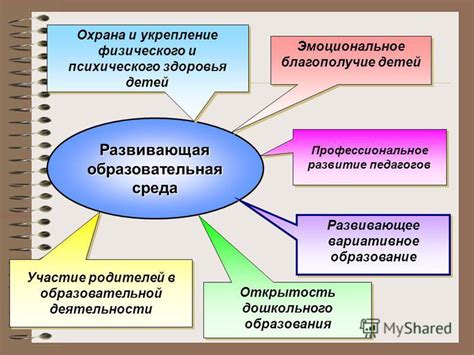 Содержание клетки: создание комфортной среды