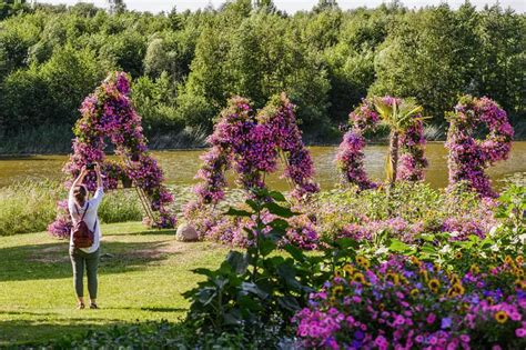 Создаем впечатляющие композиции