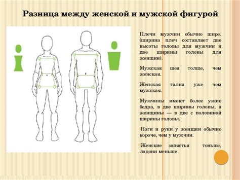 Создайте правильное соотношение плеч с остальной фигурой