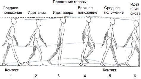 Создание анимации ходьбы: основные принципы