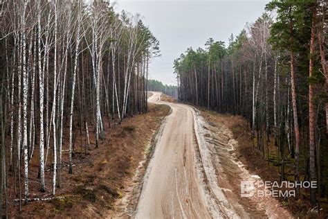 Создание защитных сооружений