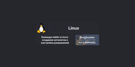 Создание и настройка URL-путей проекта