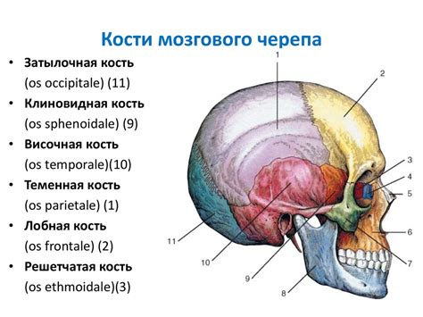 Создание лицевой части