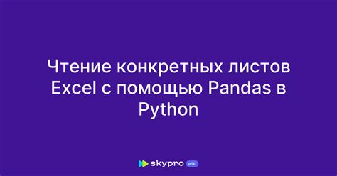 Создание массива листов с использованием библиотеки Pandas