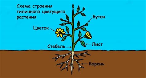 Создание основы цветка: изготовление стебля