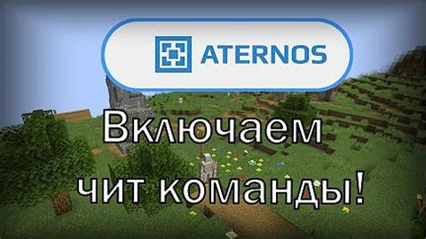 Создание сервера Minecraft: пошаговая инструкция для ПК и мобильных устройств