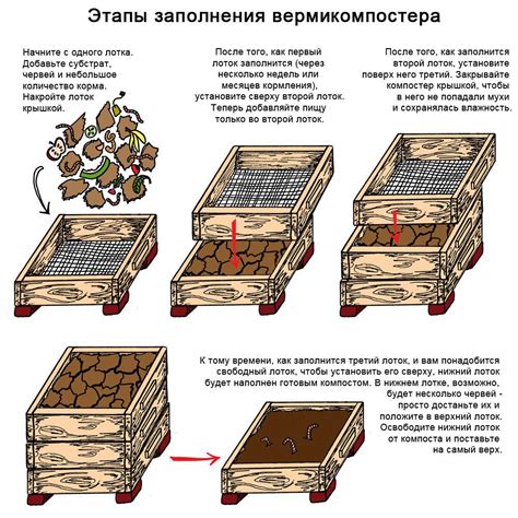 Создание условий для разведения червей