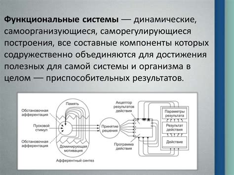 Создание функциональных хранительных систем