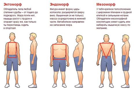 Создать форму тела и одежды