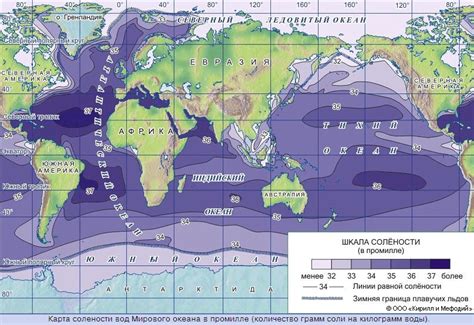 Соленость воды: основные характеристики